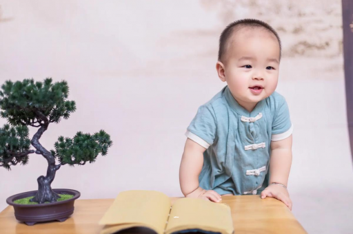磁县可爱的企鹅宝宝